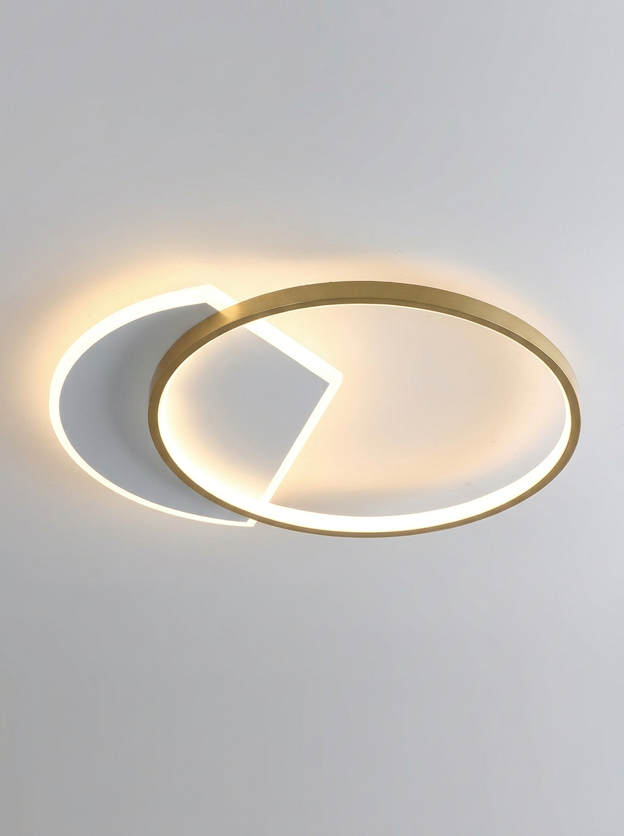 Living Room Ceiling Light LED Round Ring | Modern